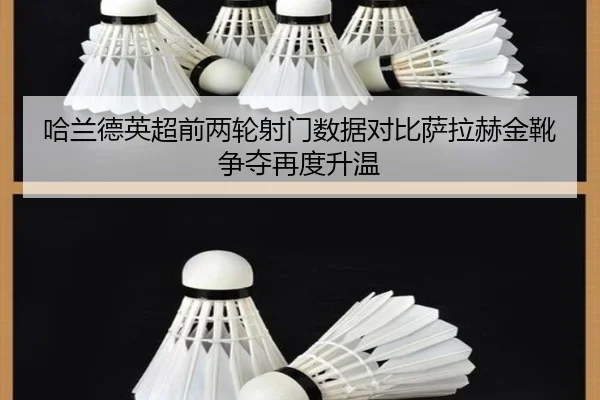 哈兰德英超前两轮射门数据对比萨拉赫金靴争夺再度升温（leyu.comapp）