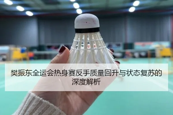 樊振东全运会热身赛反手质量回升与状态复苏的深度解析（leyu.comapp）