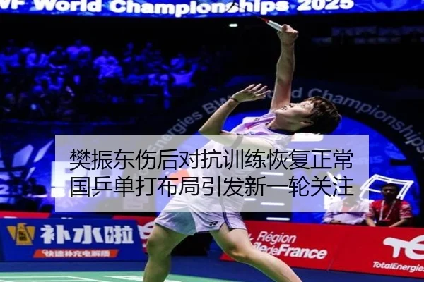 樊振东伤后对抗训练恢复正常 国乒单打布局引发新一轮关注（leyu.comapp）